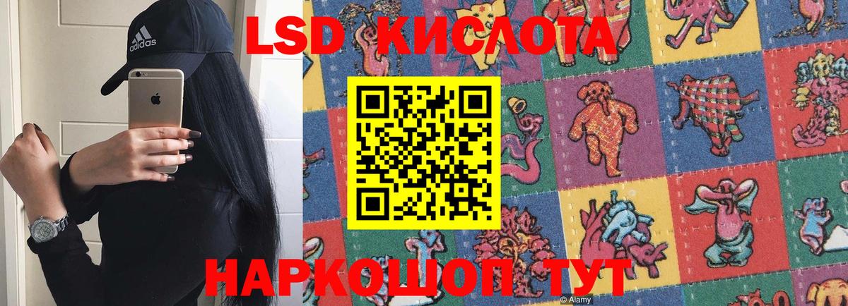 Псилоцибиновые грибы Рязань