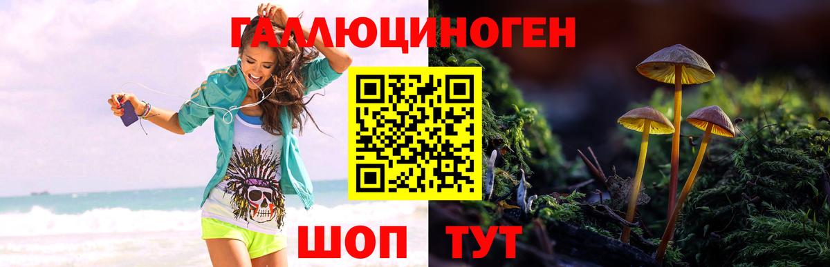 Рязань  Галлюциногенные грибы мицелий  Вход с VPN  хочу   Галлюциногенные грибы прущие грибы 